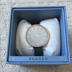Skagen Watch
